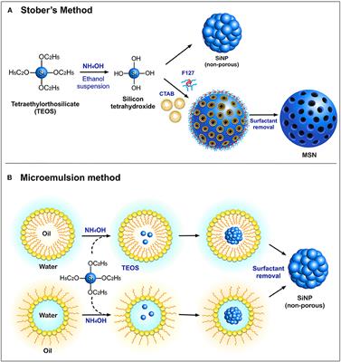 Silica Nanoparticles—A Versatile Tool for the Treatment of Bacterial Infections